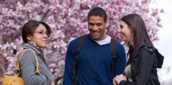 three students chatting by blooming trees