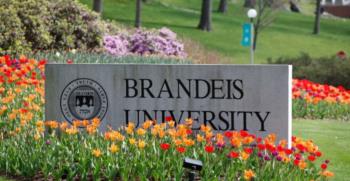 flowerbed and sign with 'brandeis university' and logo