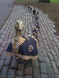 duck sculptures in jerseys lined up on cobblestone