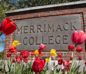 merrimack college sign behind blooming tulips