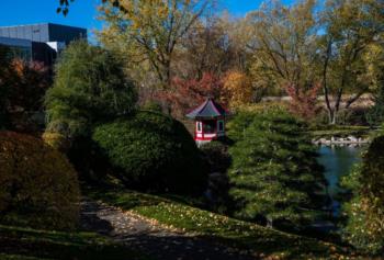 serene garden with pond and red gazebo