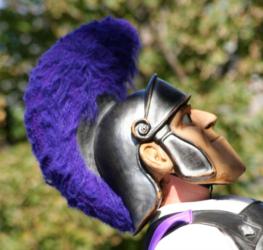 side profile of a mascot with a purple plume helmet