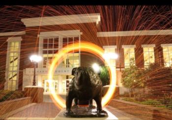 lit statue of a bulldog with light trails at night