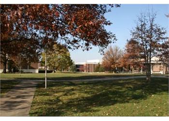 campus pathway with autumn trees and buildings