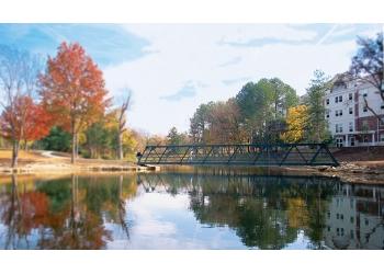 pedestrian bridge over a tranquil lake