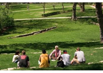 students sitting on a grassy hillside