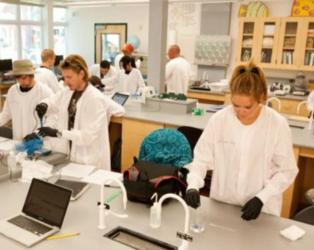 students working in a science lab