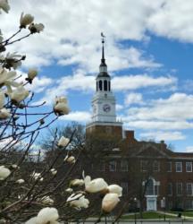 blooming tree with dartmouth college building and clock tower