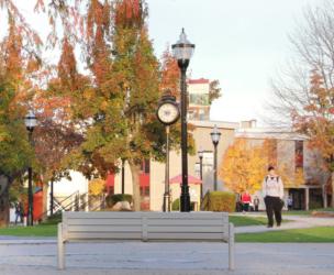 campus scene with clock and autumn leaves