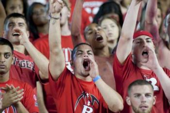 football fans cheering in the stands, wearing team colors