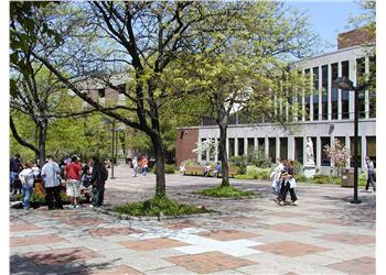 busy campus walkway with students