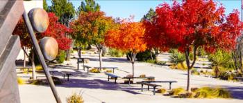 colorful autumn trees on campus with benches and sculpture
