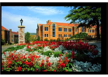 brick building amidst flower beds under a blue sky