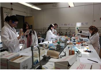 students working in a science lab