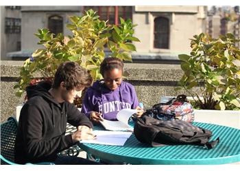 two students studying outdoors