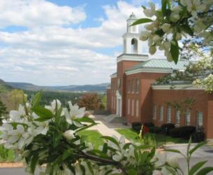 church building behind flowering trees