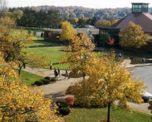 aerial view of a campus with autumn foliage