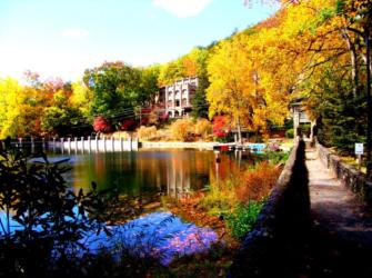 colorful foliage around a building by a pond