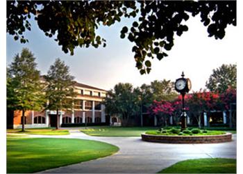 campus clock and buildings framed by leaves