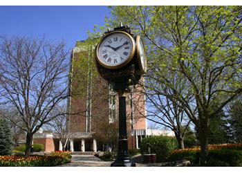 clock tower surrounded by trees