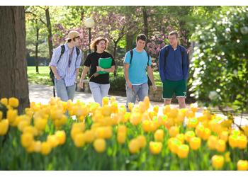 people walking by tulips on campus