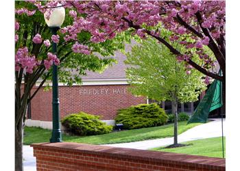 a building named 'ridley hall' behind blooming pink trees