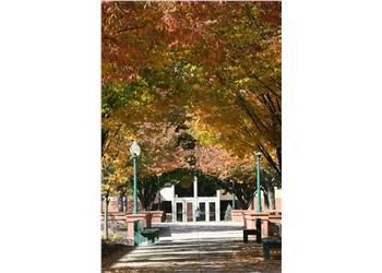 walkway with benches under autumn colored trees