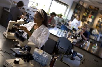 students working in a laboratory with microscopes