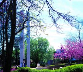 outdoor scene with tall white pillar and blooming trees