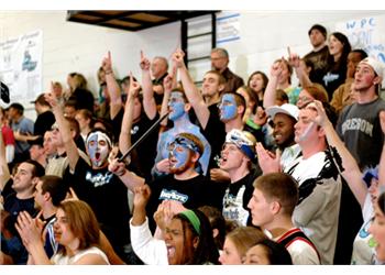 crowd cheering at a sports event