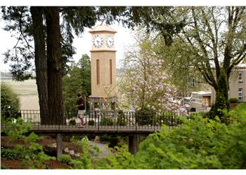 clock tower seen behind trees with students walking