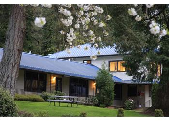 building with blooming trees in the foreground