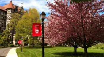 walkway with blooming cherry trees and campus banner