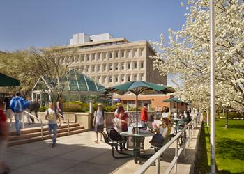 outdoor patio with students and blossoming trees