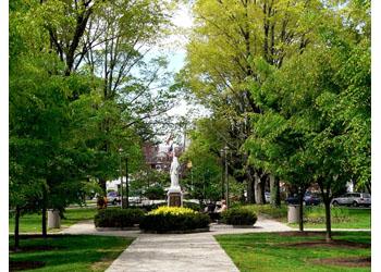 lush green pathway in campus park