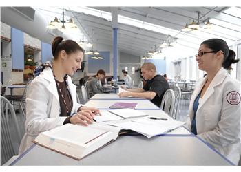 two students studying in a college cafeteria