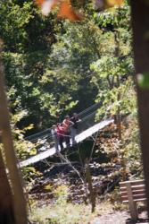 people crossing a suspension bridge in the woods