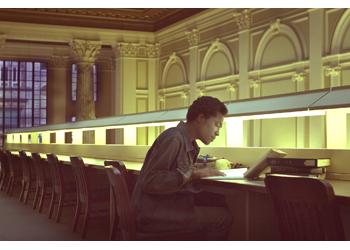 individual studying in ornate library