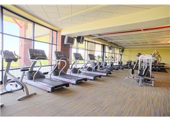 gym interior with treadmills and exercise equipment