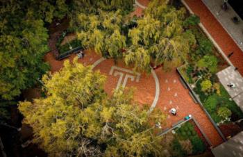 aerial view of campus with 't' logo and autumn trees