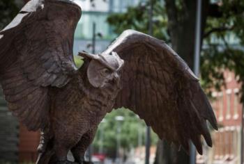 close-up of owl statue with spread wings