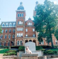 historic college building with statue