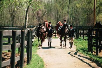 group riding horses on a campus trail