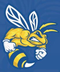 university mascot yellow jacket illustration