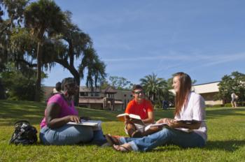 students studying on the grass outdoors