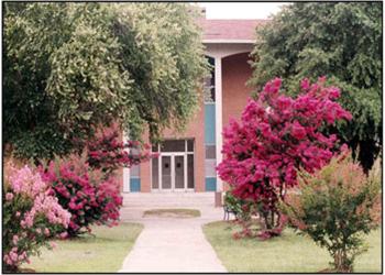 campus walkway flanked by vibrant pink flowers and greenery