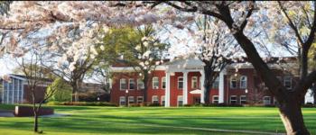 red brick building with cherry blossoms