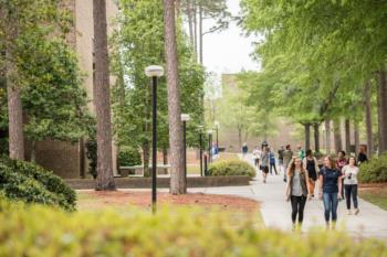 campus walkway with students and pine trees