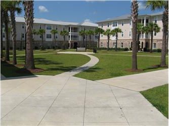 courtyard with palm trees and building