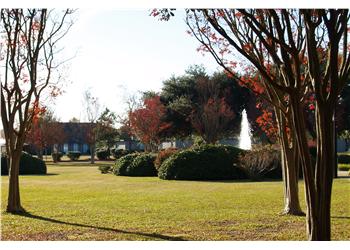 campus view with trees and a fountain